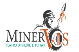 Minervis S.N.C. Di Donatello Fontana