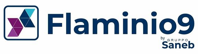 Flaminio 9 Srl