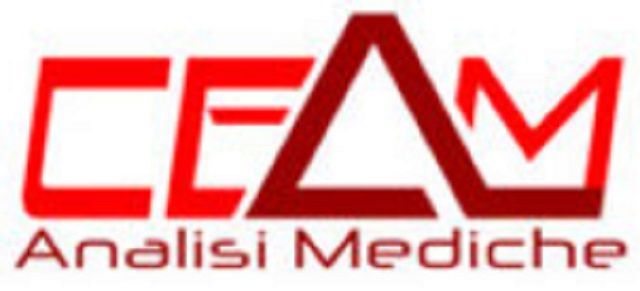 C.E.A.M. Di Guzzo V. E C. Snc