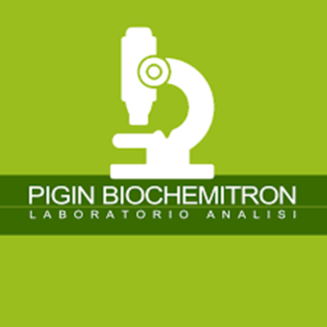 Pigin Biochemitron Srl